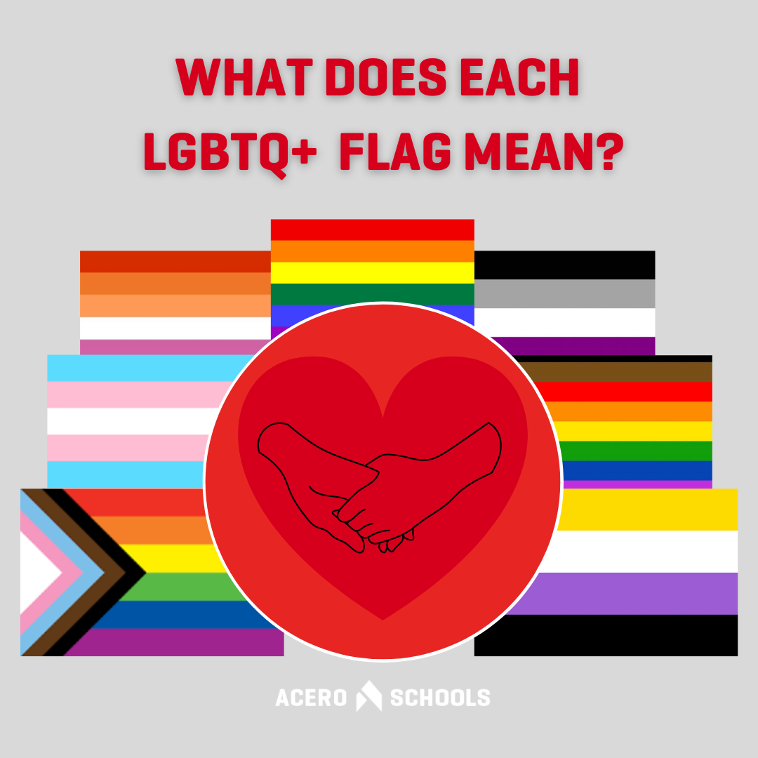 What does each  LGBTQ+  flag mean?